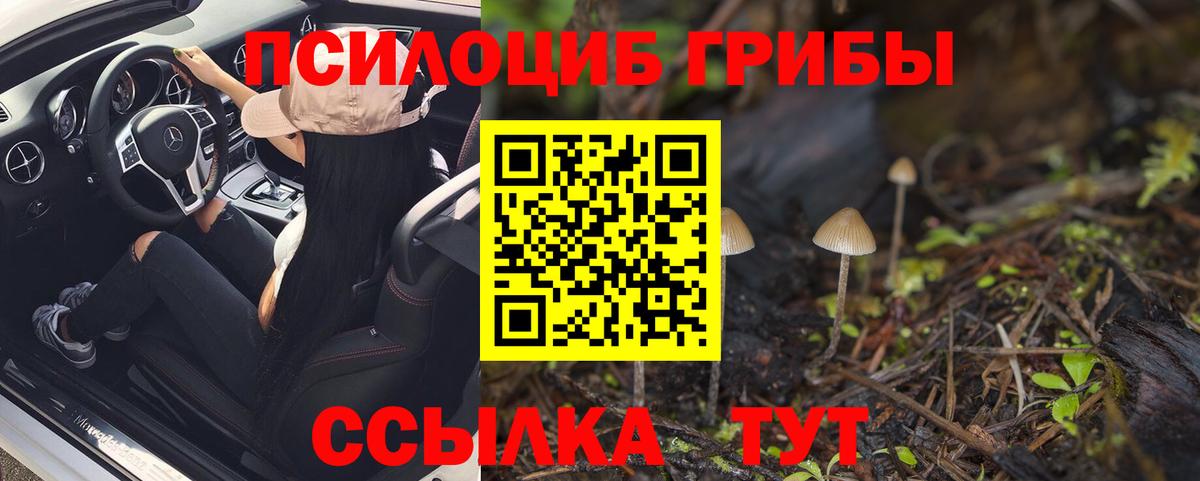 Псилоцибиновые грибы мухоморы Черняховск