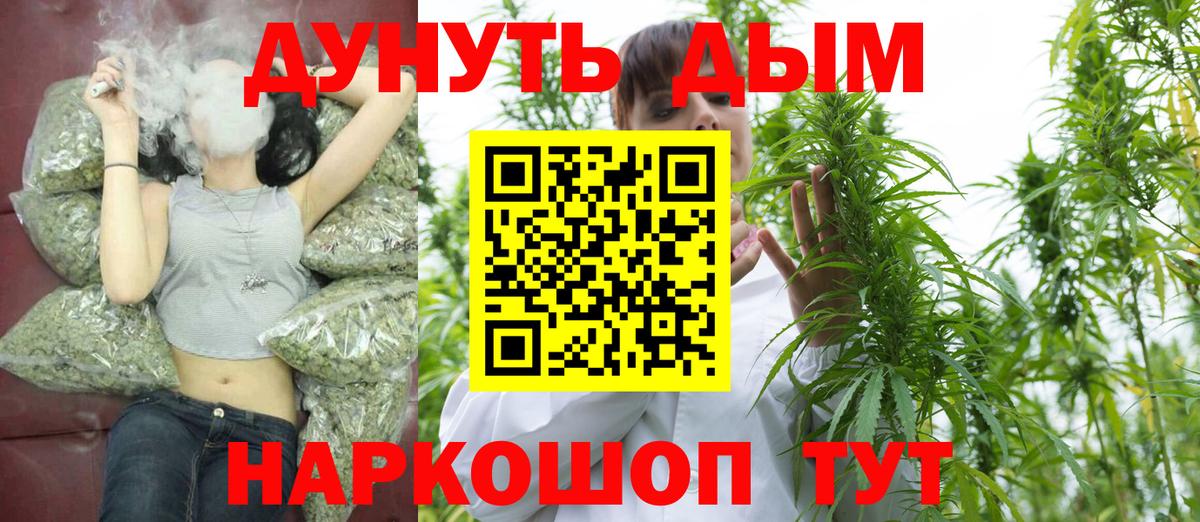 Бошки марихуана ГИДРОПОН  Канабис семена  Черняховск  Вход с VPN  Марихуана конопля 